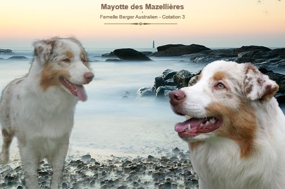 Mayotte Des mazellières