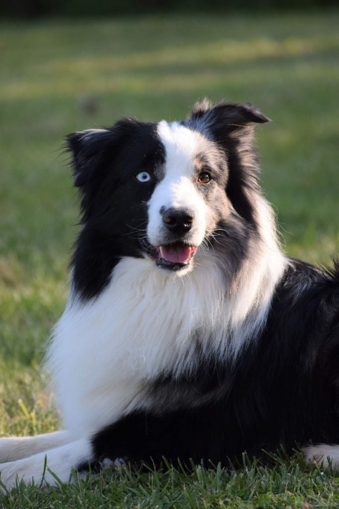 Publication : of the marjohrita