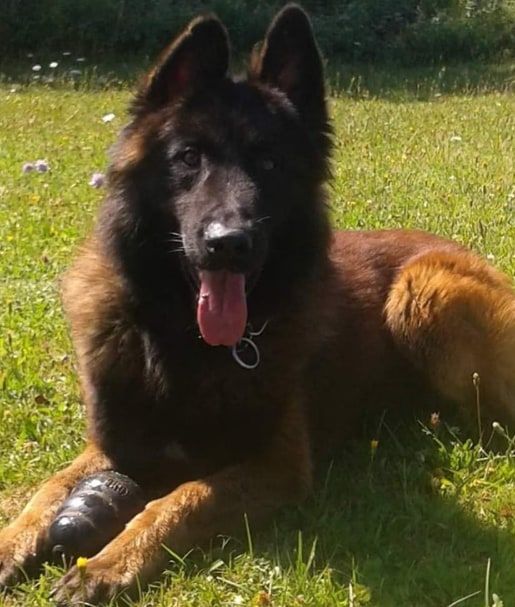 Publication : du Fort de Cadres 