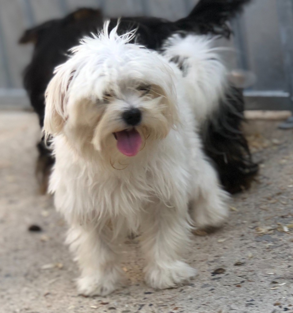 Publication : (Sans Affixe) 