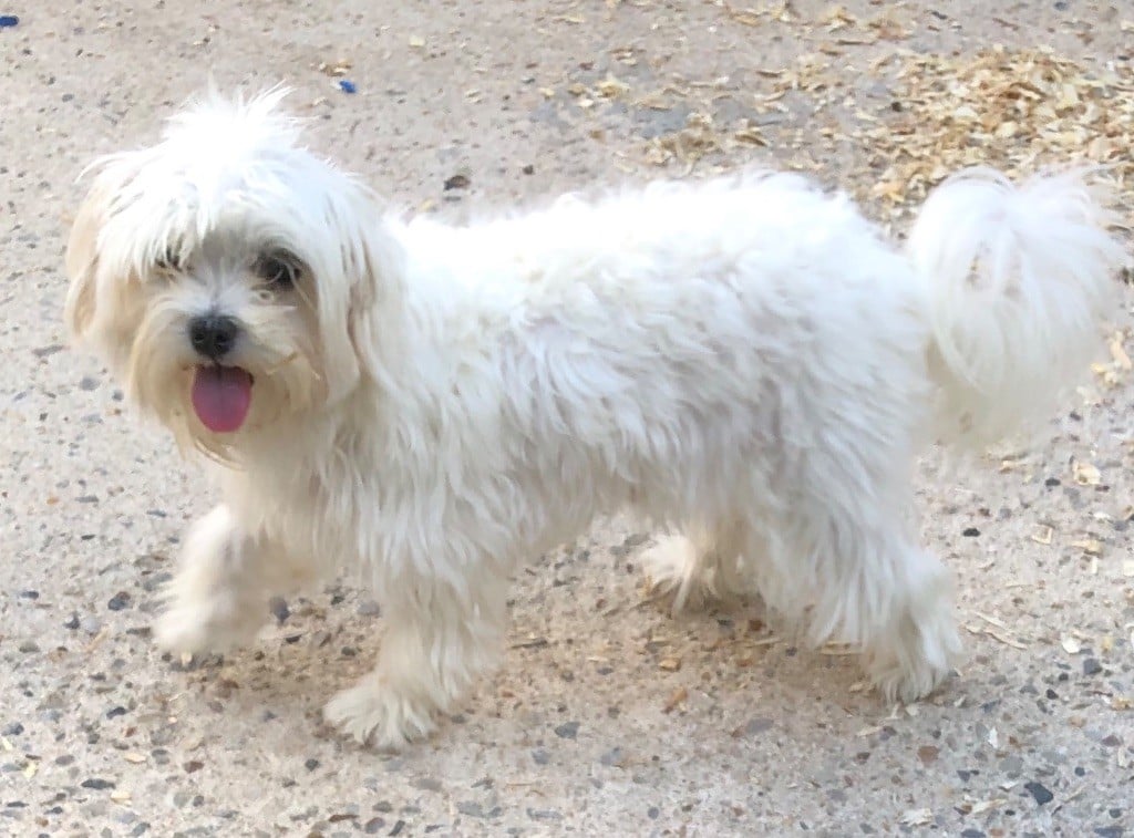 Publication : (Sans Affixe) 