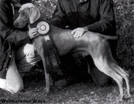 TR. CH. Norton cr exuma's hyatt of