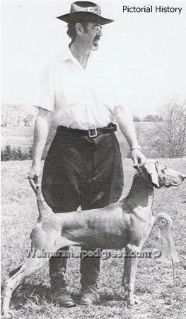 TR. CH. Lilith von hirschhorn