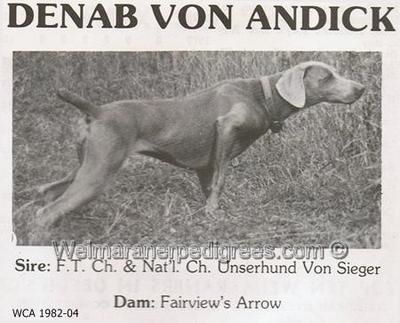 TR. CH. Denab von andick