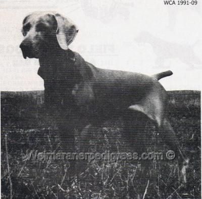 weimaracres Kipbirtzel