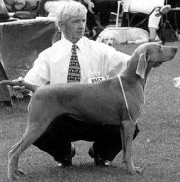 enryb Cocktail party