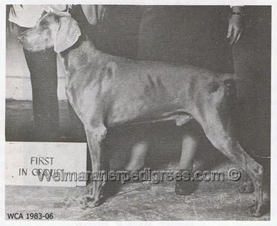 TR. CH. Reflections redhill's