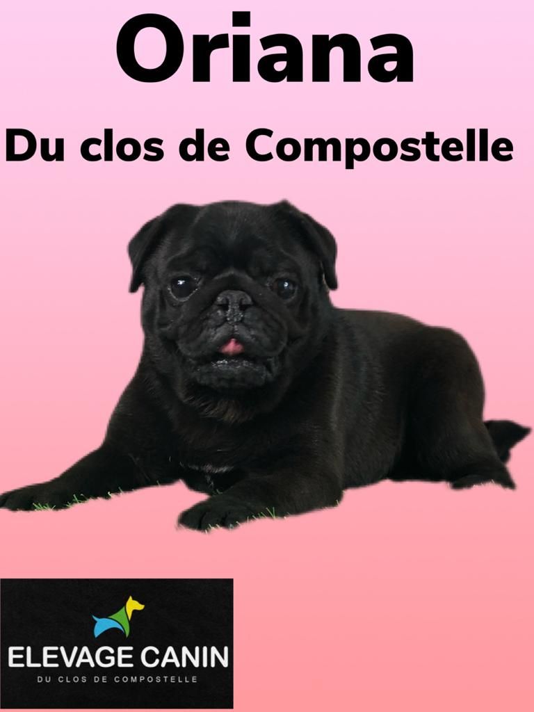 Oriana Du Clos De Compostelle