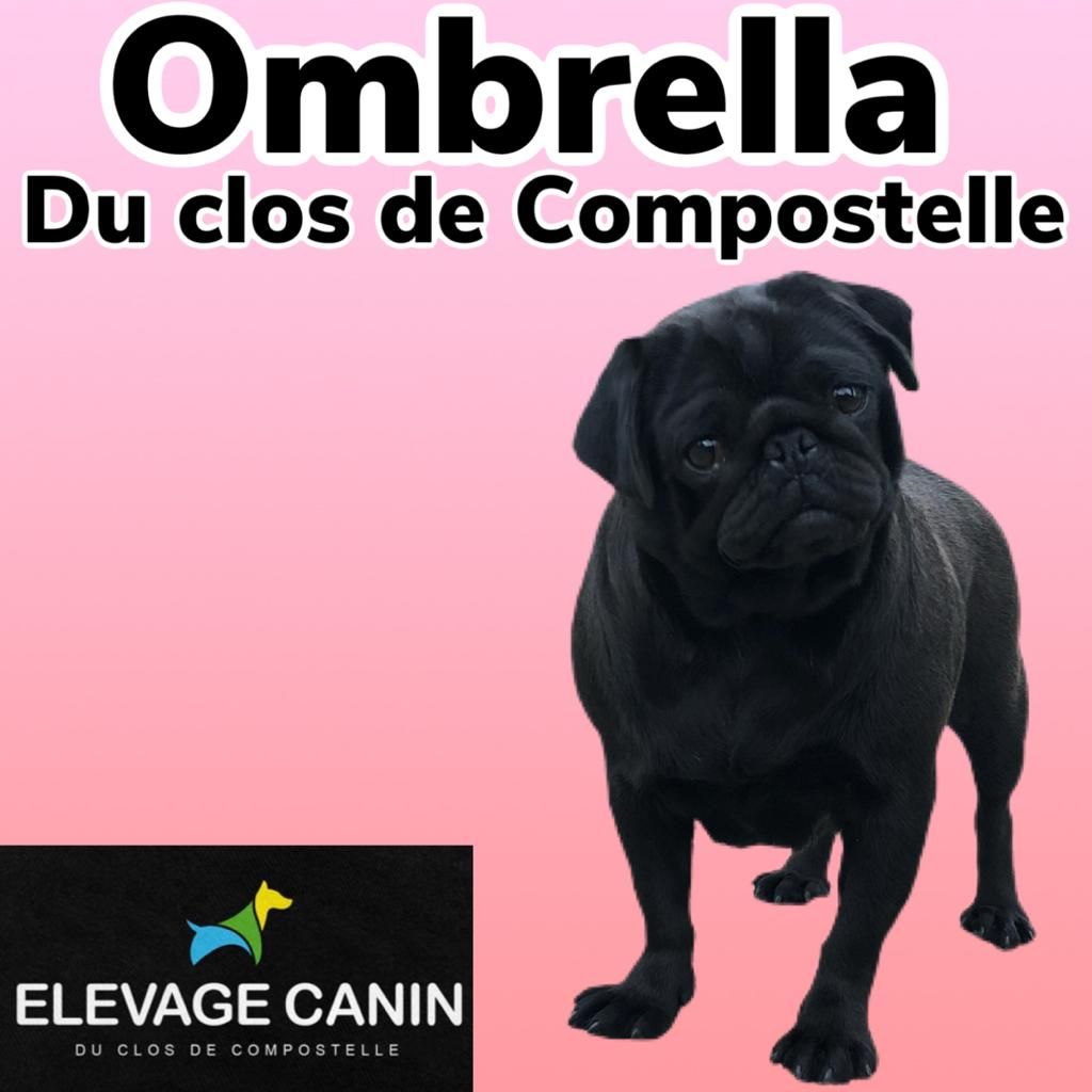 Ombrella Du Clos De Compostelle
