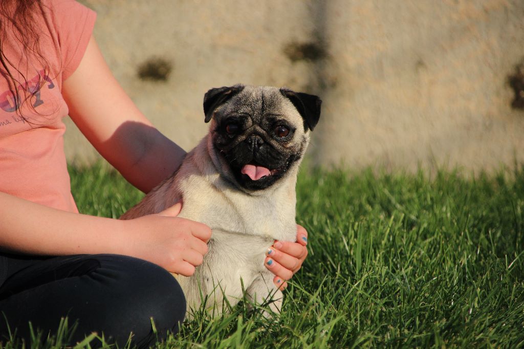 Olga Des sources sacrees