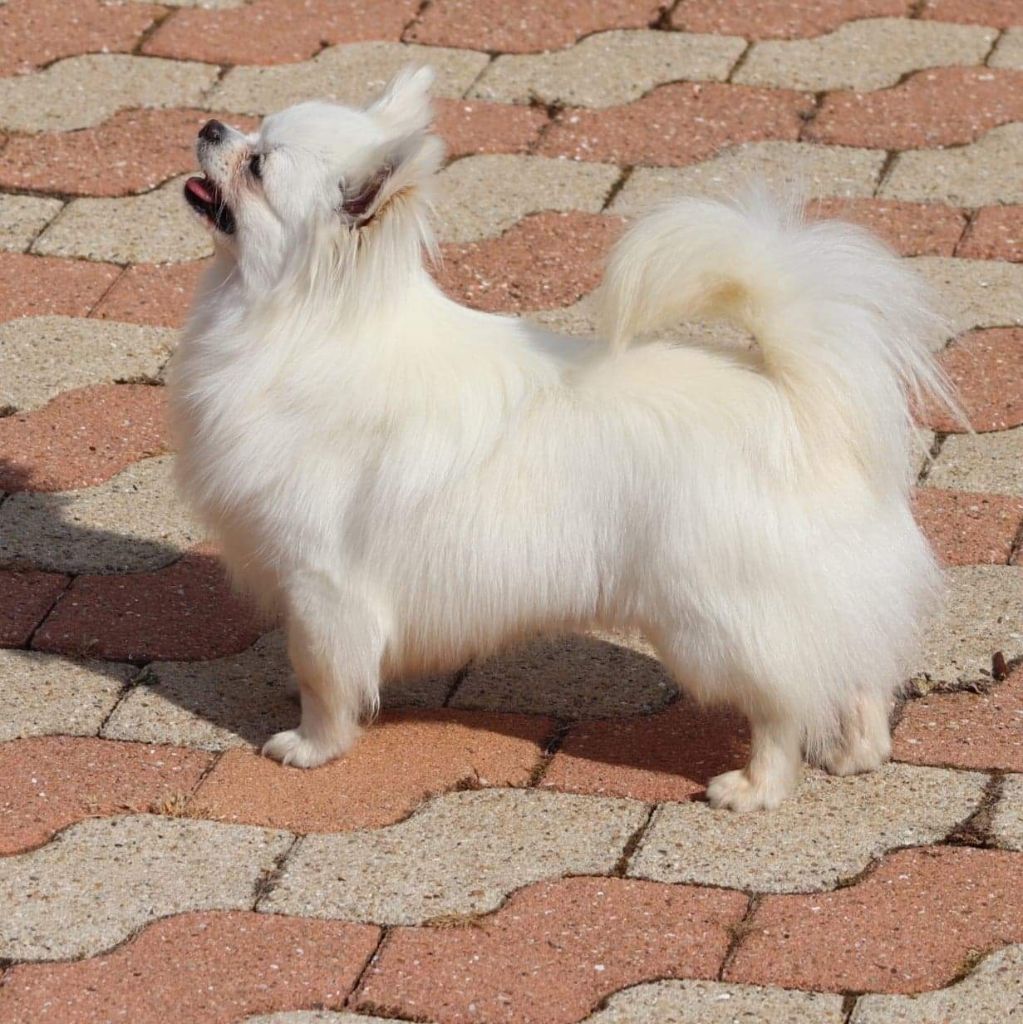 Publication : Des Trésors De Cancun