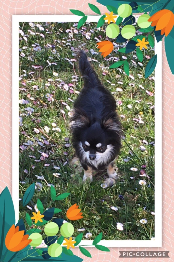 Publication : du Vallon de Beaumont