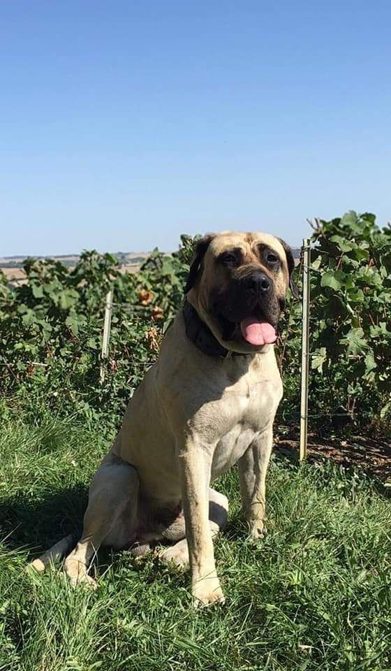 Publication : (Sans Affixe) 