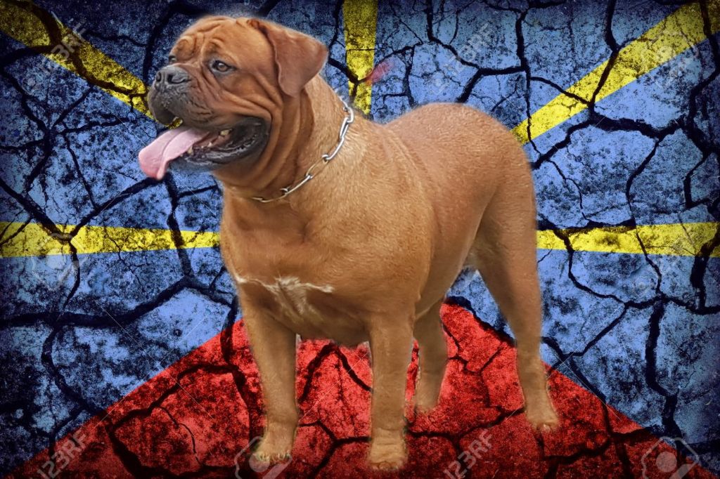 Publication : de trebuh'lls passion Auteur : Wilfrid hubert 