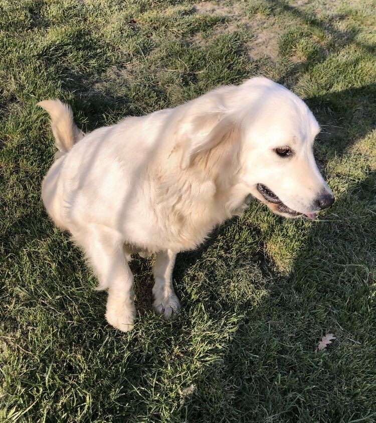 Publication : Des Minis Pepites 