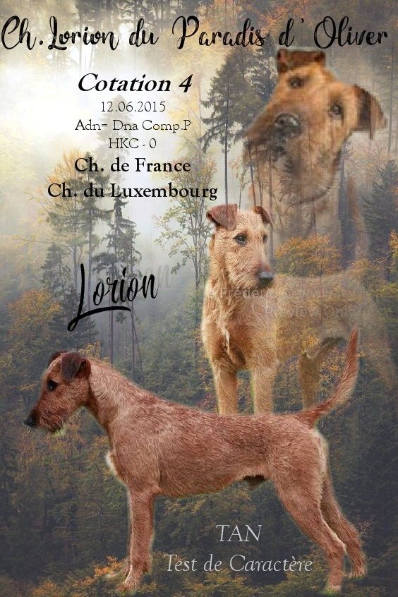 Publication : Du Paradis D'oliver