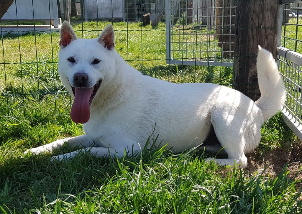 Publication : Des marais de courmont Auteur : Pat