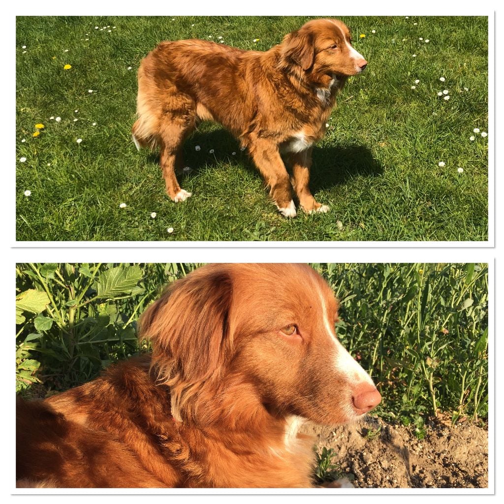 Ouvea Du val des granges