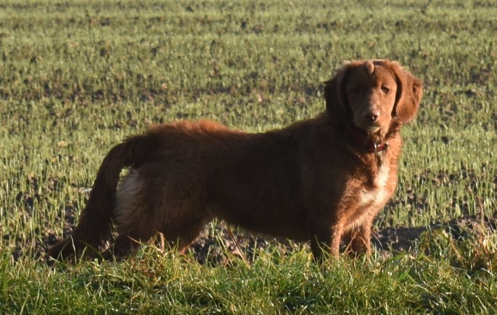 Publication : Des Minis Vaillants