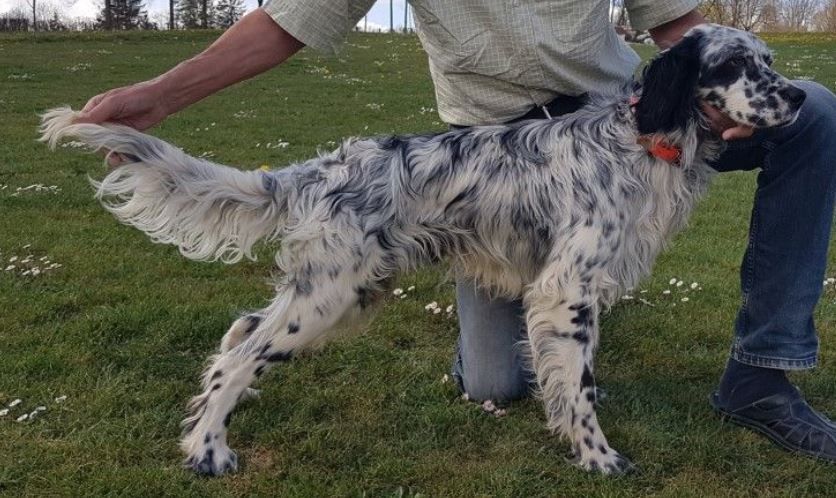 Publication : du Parc des Chaumes Auteur : PACO Ã 10 mois