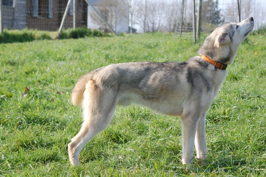 Publication : du Menez des Glaziks