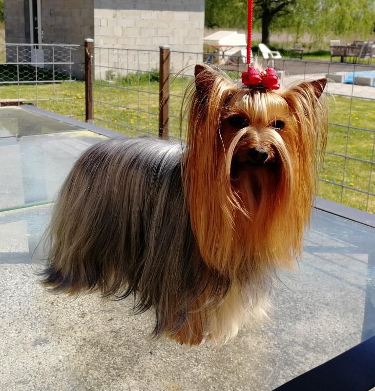 Publication : du Petit Monterac Auteur : Nadine CONDE