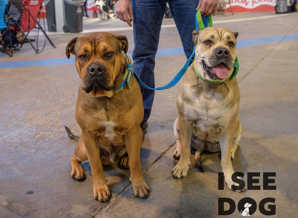 Publication : (Sans Affixe)