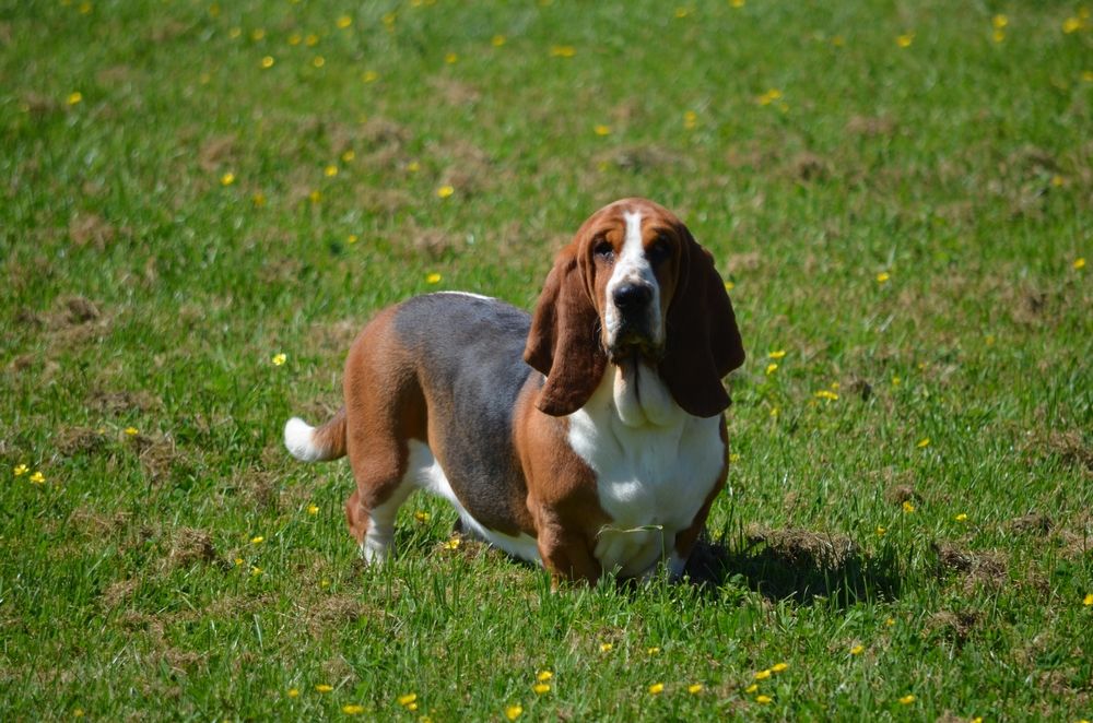 Publication : Des sources sacrees