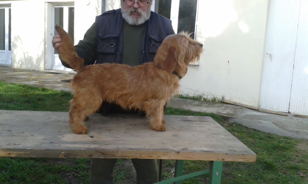 Publication : du Domaine D'Asgard Auteur : Le Domaine d'Asgard