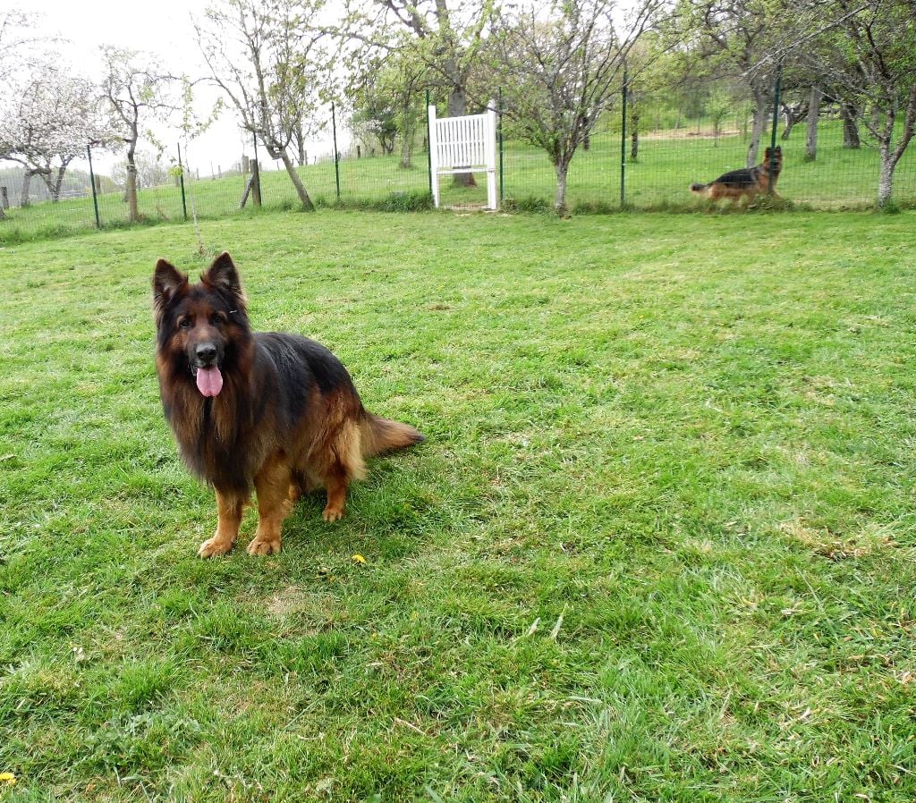 Publication : du chemin des cinq rivieres