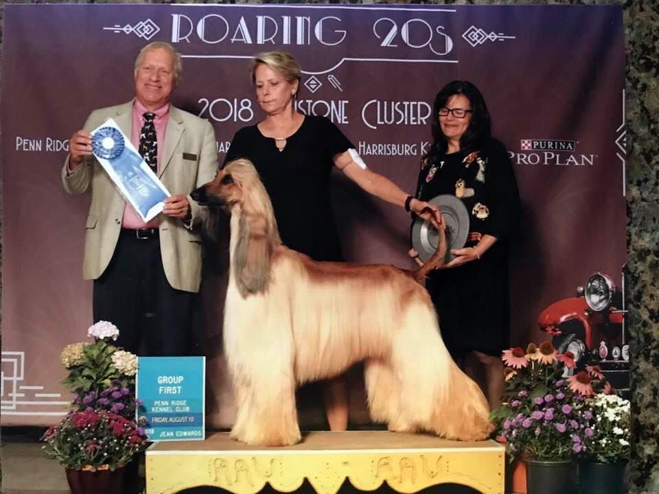 CH. Pahlavi It'z not my first rodeo