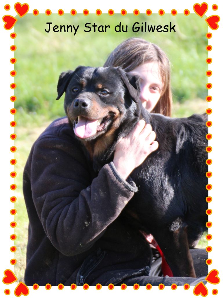 Publication : du Gilwesk