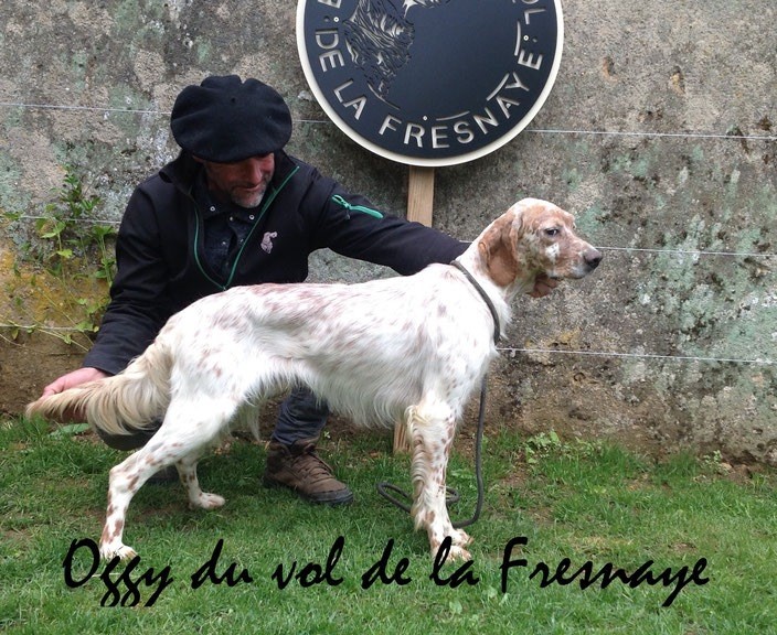 Publication : Du Vol De La Fresnaye Auteur : Clerissy