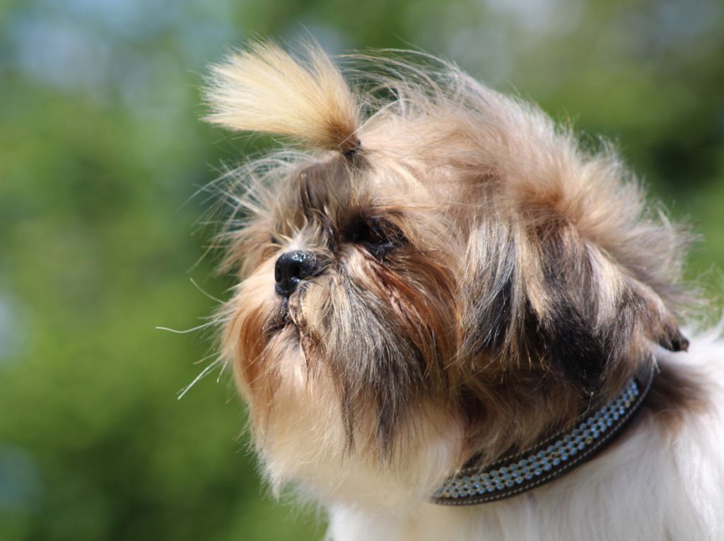 Jagger Du logis de beaumanoir