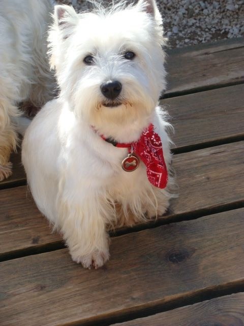 I'm a trésor Of Itty's Cottage