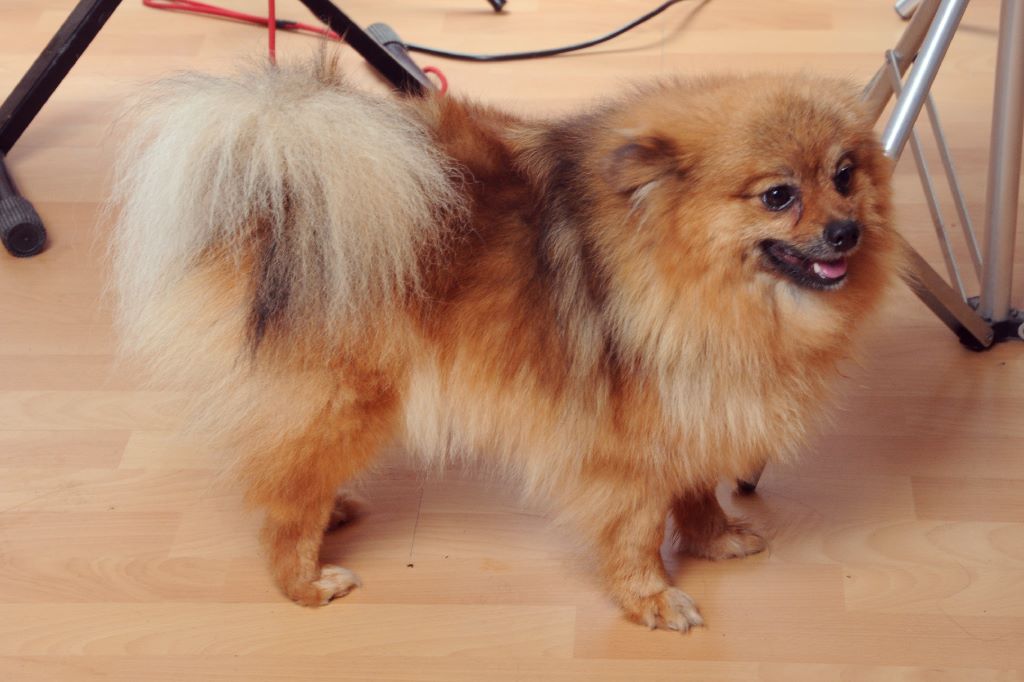 Publication : d'Erland 