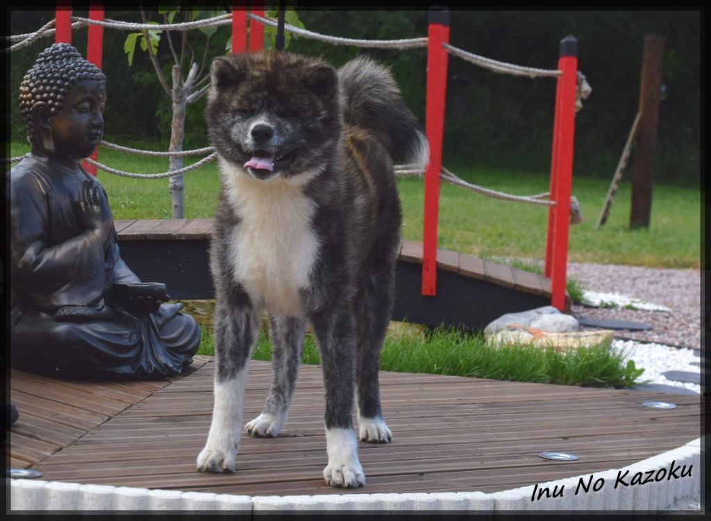 Publication : No Kazoku