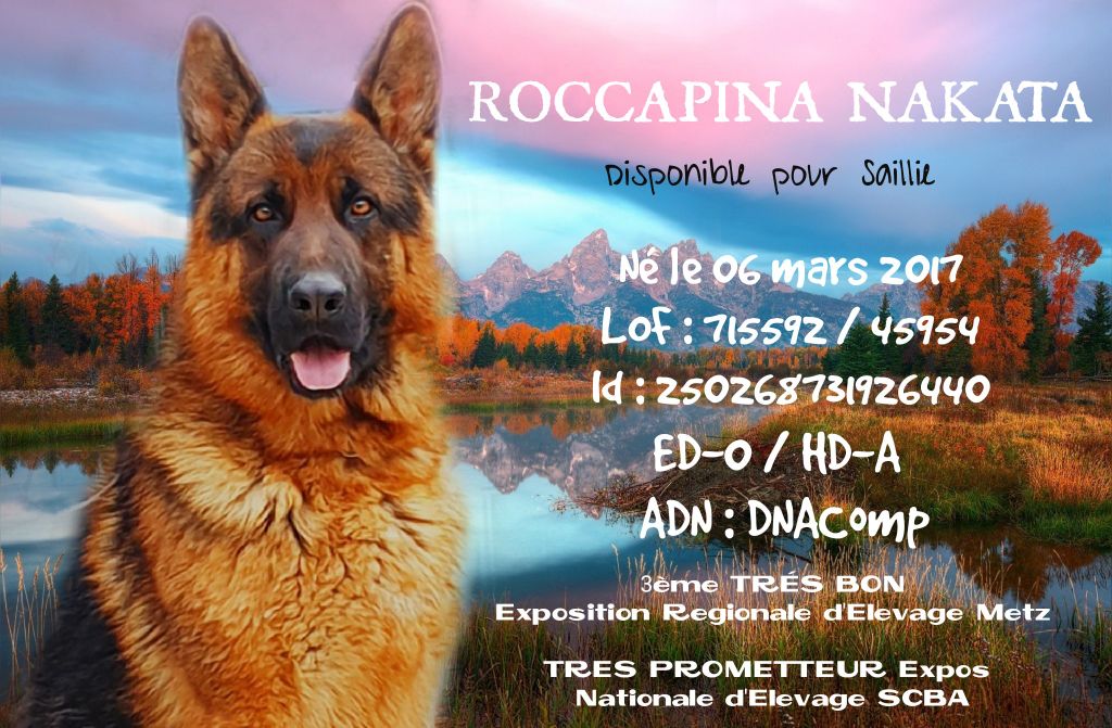 Publication : Roccapina 
