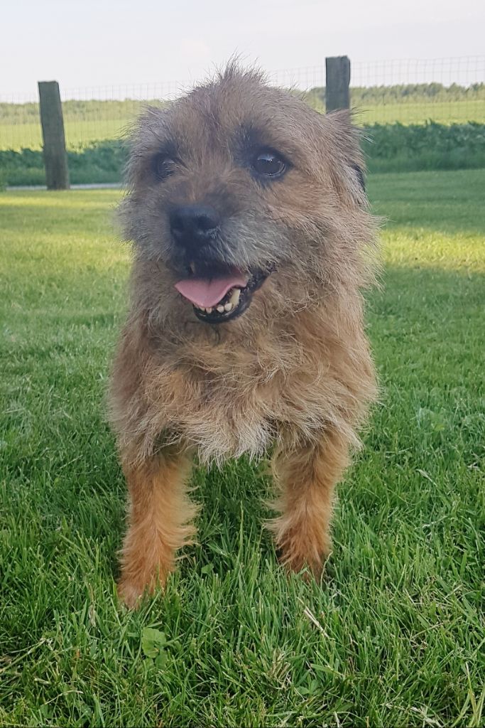 Publication : Des marais de courmont 