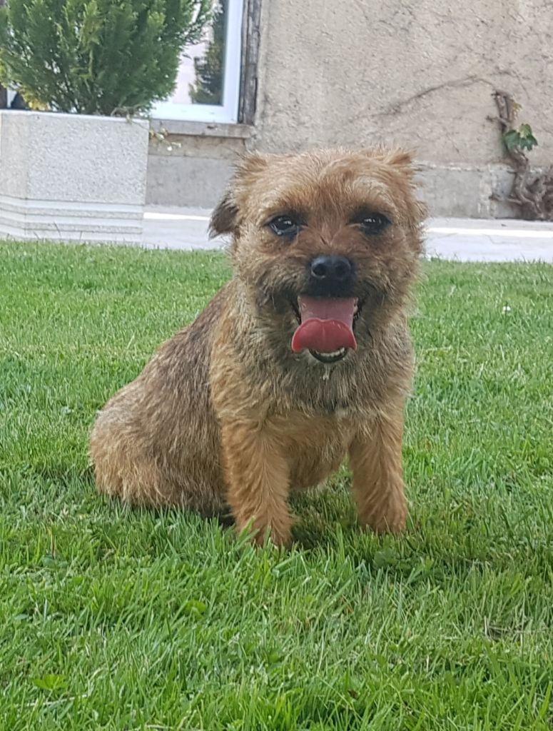 Publication : Des marais de courmont Auteur : Pat