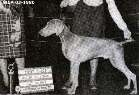 TR. CH. Nani's Bold gustav von verhey