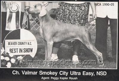 TR. CH. Easy valmar smokey city ultra