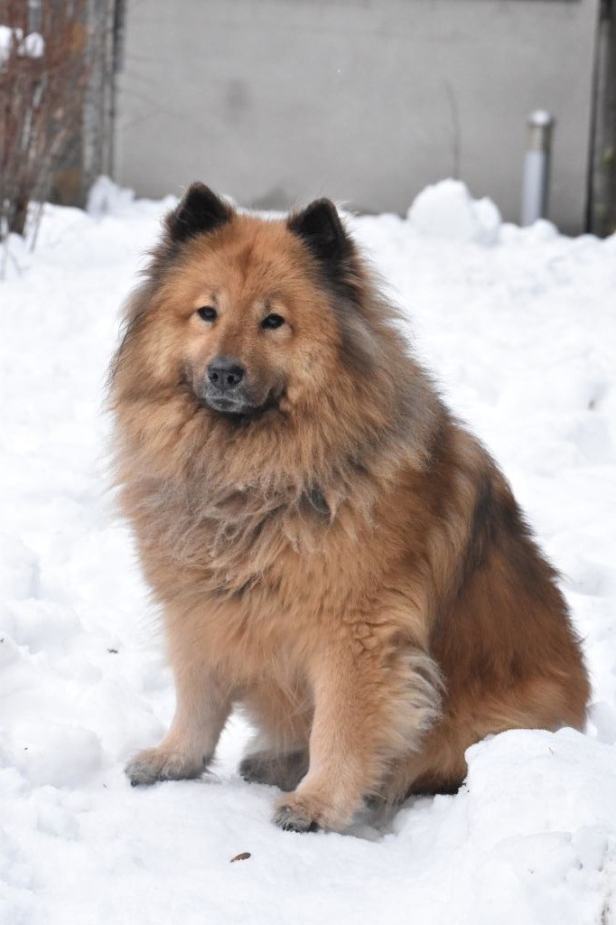 Publication : Des Diamants De L'océan