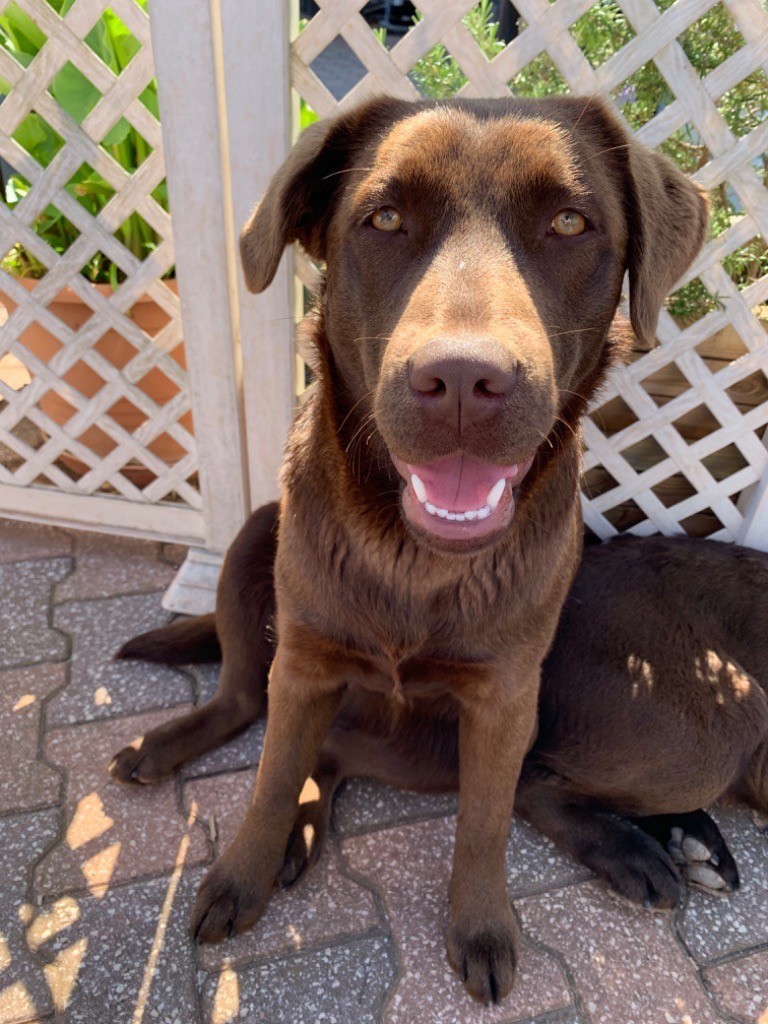 Publication : de la plaine du grand plan 