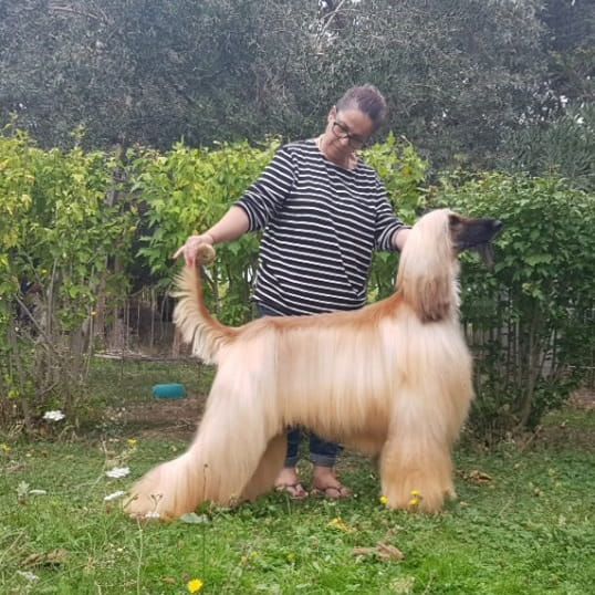 Publication : De hillsbury