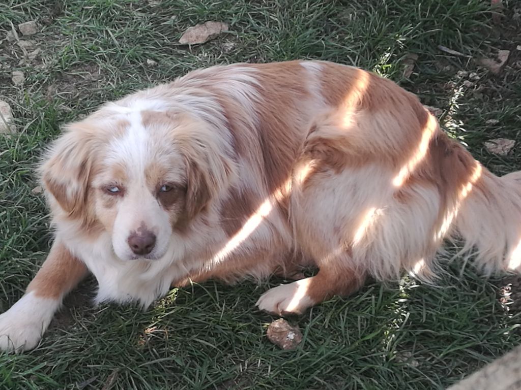 Nouga du Moulin de la Terrasse