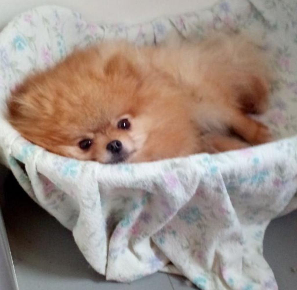 Publication : Los Llanos Del Águila 