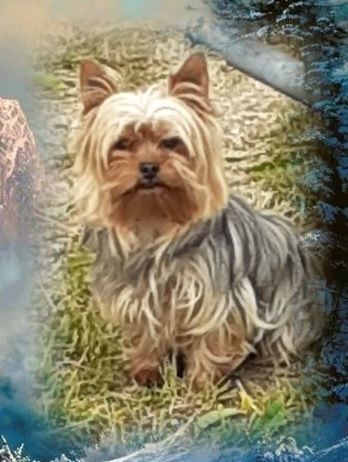 Publication : Feeldjy 