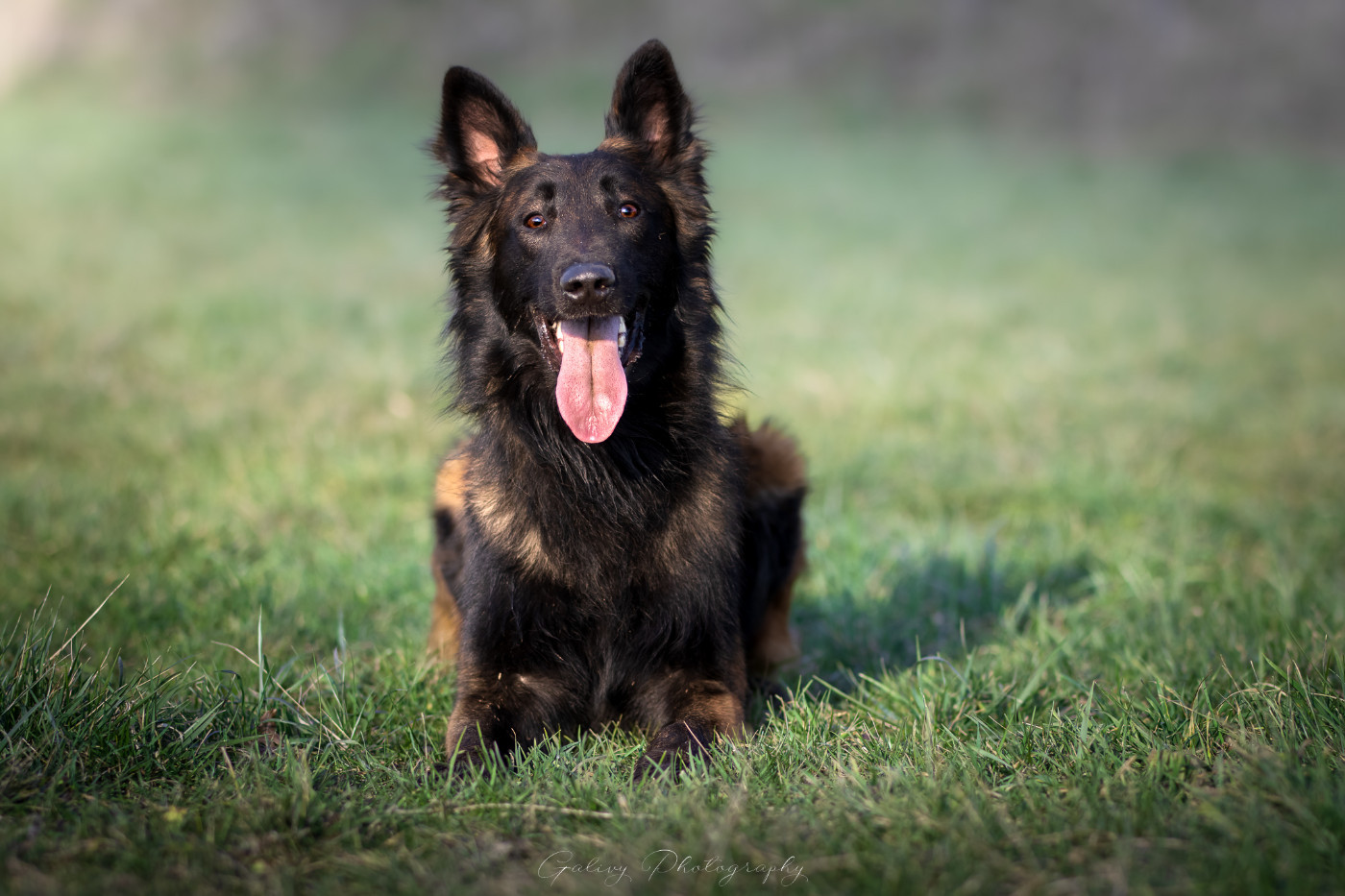 Publication : Des Abîmes Ardents