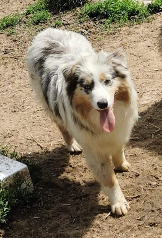 Publication : Lanka Fire 